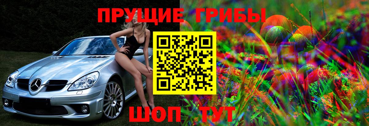 Галлюциногенные грибы мухоморы  продажа наркотиков  Лениногорск  Вход с VPN 
